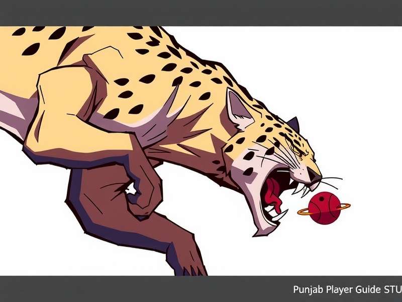 Punjab Panther Pounce Player Guides Punjab Panther Pounce Player Guides