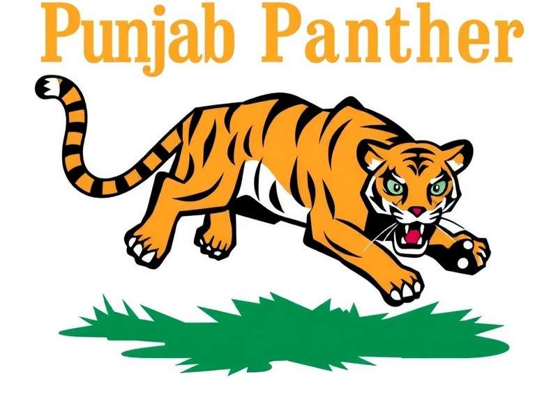 Punjab Panther Pounce Local Events Punjab Panther Pounce Local Events